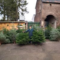 Verkoop Kerstbomen Boerderijwinkel Grooten
